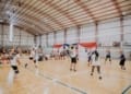 Descubriendo el Newcom: deporte de estrategia y diversión